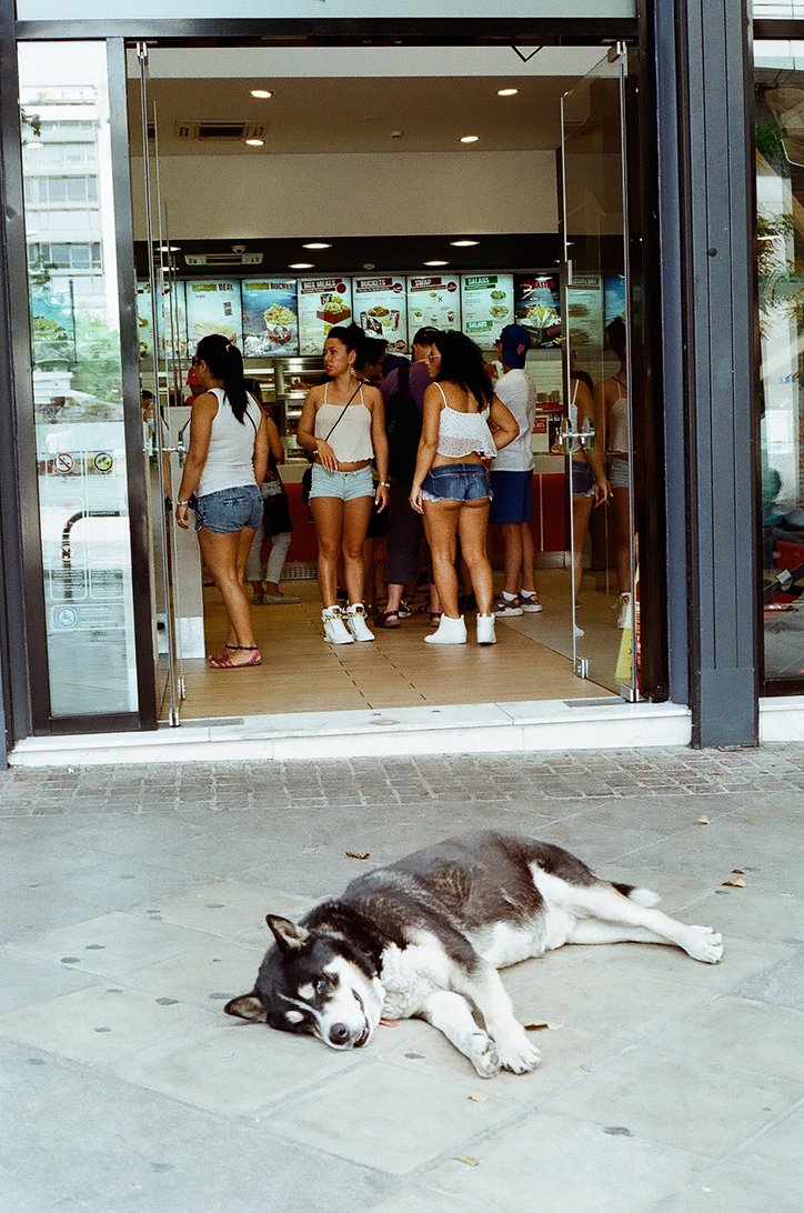 Τι είδε ένας Γερμανός στην Αθήνα του 2015: Εγκατάλειψη, παραίτηση, ηθελημένη απομόνωση [εικόνες] | iefimerida.gr 1