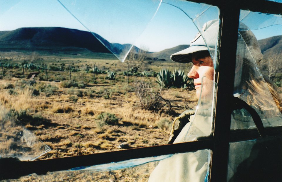 Αντίστροφη μέτρηση για το 18o Φεστιβάλ Ντοκιμαντέρ. Το τελευταίο υπό τον Δημήτρη Εϊπίδη [εικόνες] | iefimerida.gr 4