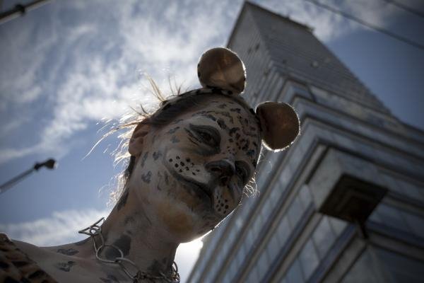 «Το τσίρκο αγαπά τα ζώα του» - Εργαζόμενοι και ...τετράποδα διαδηλώνουν στο Μεξικό | iefimerida.gr 4