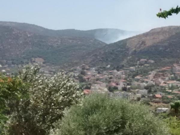 Υπό έλεγχο η φωτιά στον Πόρτο Ράφτη - Εκαιγε παρθένο δάσος [εικόνες] | iefimerida.gr 1