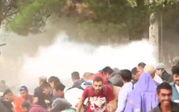 Χάος στα σύνορα των Σκοπίων - Επεισόδια με τους χιλιάδες μετανάστες που συρρέουν από την Ελλάδα [βίντεο] | iefimerida.gr 2
