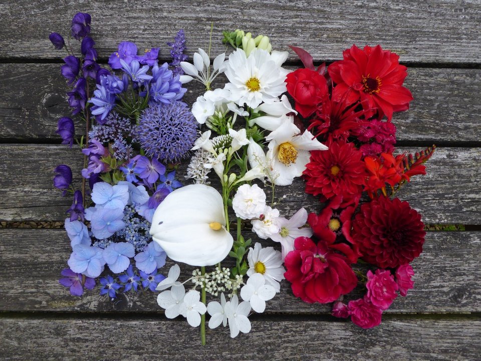 #PrayForNice: Συγκινητικά σκίτσα στα social media για τα θύματα του μακελειού στη Νίκαια [εικόνες] | iefimerida.gr 3