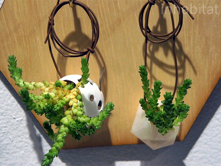 Κοσμήματα με αληθινά λουλούδια κατασκευάζει 26χρονη στην Ατλάντα [εικόνες] | iefimerida.gr 4