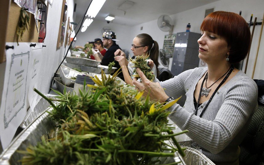 Σοκ: Βούλιαξε το κατάστημα μαριχουάνας στο Κολοράντο από την πρώτη κιόλας μέρα –Ουρές και παροξυσμός για λίγα γραμμάρια [εικόνες]  | iefimerida.gr 13