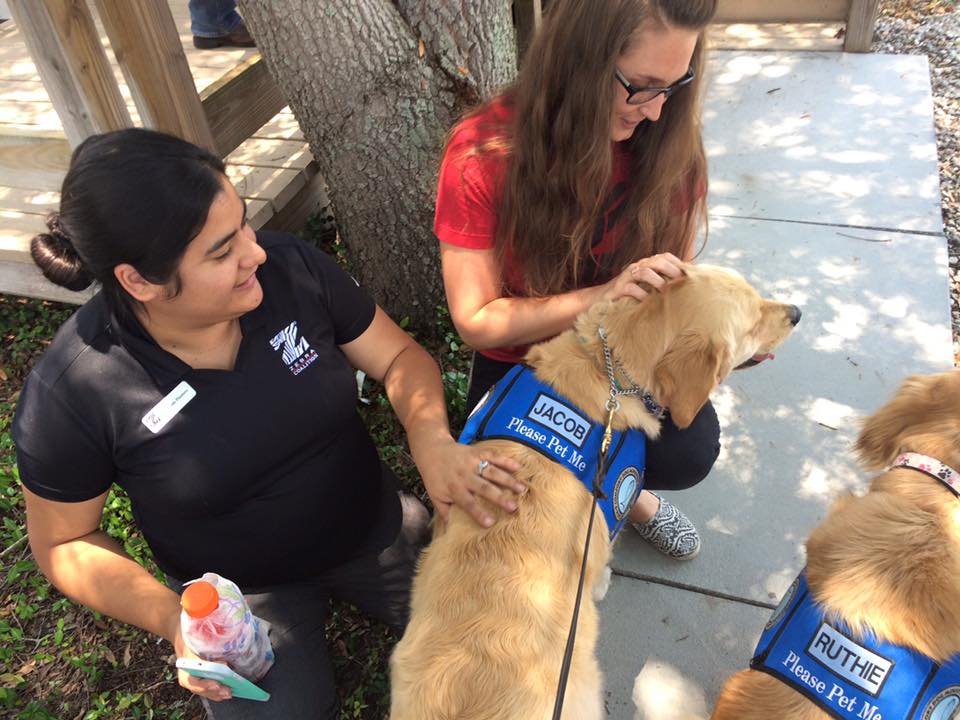 12 γκόλντεν ριτρίβερ παρηγόρησαν τα θύματα του Ορλάντο μετά την τρομοκρατική επίθεση [εικόνες] | iefimerida.gr 0