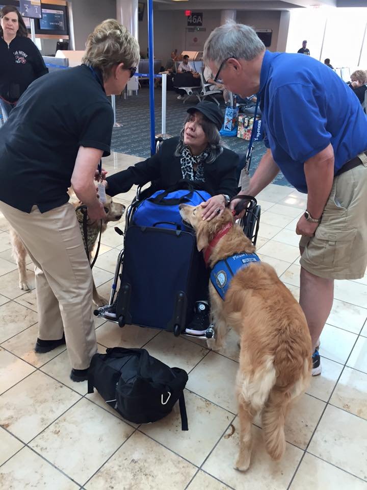 12 γκόλντεν ριτρίβερ παρηγόρησαν τα θύματα του Ορλάντο μετά την τρομοκρατική επίθεση [εικόνες] | iefimerida.gr 1