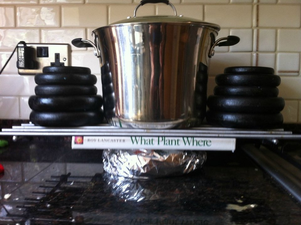 Αυτό το σάντουϊτς είναι τόσο λαχταριστό που θα γλείφεις και τα δάκτυλα της διπλανής σου [εικόνες] | iefimerida.gr 2