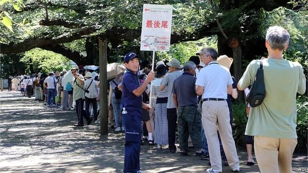 Το μεγαλύτερο λουλούδι του κόσμου άνθισε στη Κίνα μετά από 10 χρόνια [εικόνες] | iefimerida.gr 4