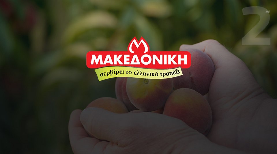 Cosmote: Οι 3 οικογενειακές εταιρείες που ξεχώρισαν στην «Επόμενη Γενιά Επιχειρήσεων» | iefimerida.gr 1