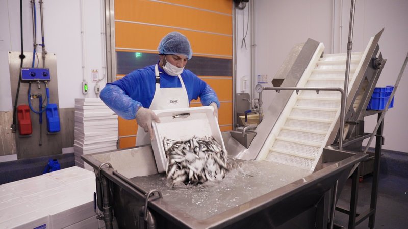 «Start-up Ελλάδα»: H νέα σειρά ντοκιμαντέρ για την ελληνική επιχειρηματικότητα έρχεται στο Cosmote History [βίντεο] | iefimerida.gr 1