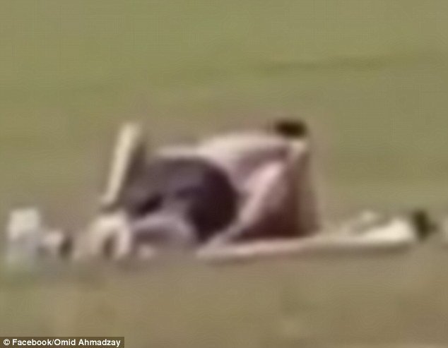 Πατέρας χαστούκισε άνδρα που έκανε σεξ σε πάρκο γεμάτο με παιδιά στην Αγγλία [εικόνες] | iefimerida.gr 2