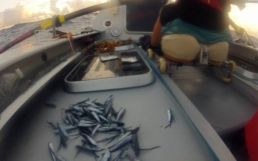 Η απίστευτη περιπέτεια 4 γυναικών: Διέσχισαν κωπηλατώντας τον Ειρηνικό, 9 μήνες στη θάλασσα [εικόνες] | iefimerida.gr 9