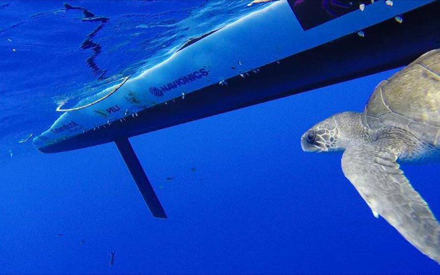 Η απίστευτη περιπέτεια 4 γυναικών: Διέσχισαν κωπηλατώντας τον Ειρηνικό, 9 μήνες στη θάλασσα [εικόνες] | iefimerida.gr 10