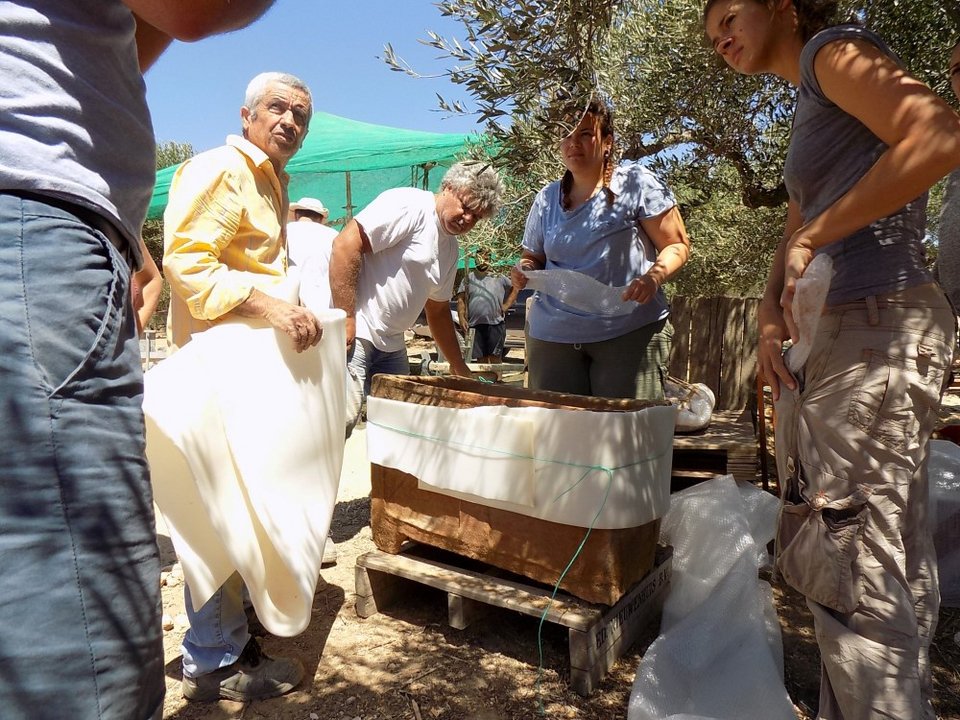 Εκπληκτοι οι αρχαιολόγοι μπροστά στον θησαυρό