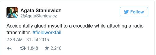 «Κόλλησα σε έναν κροκόδειλο» - Ξεκαρδιστικές γκάφες επιστημόνων έγιναν το νέο trend στο Twitter [εικόνες] | iefimerida.gr 4