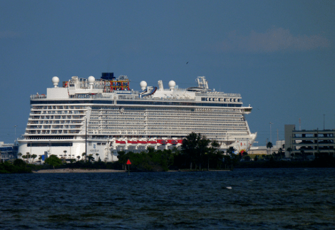 Τα 11 μεγαλύτερα κρουαζιερόπλοια του κόσμου -Με γήπεδα γκολφ και πάρκα με εκατοντάδες δένδρα, μοιάζουν με πλωτές πολιτείες [εικόνες] | iefimerida.gr 3