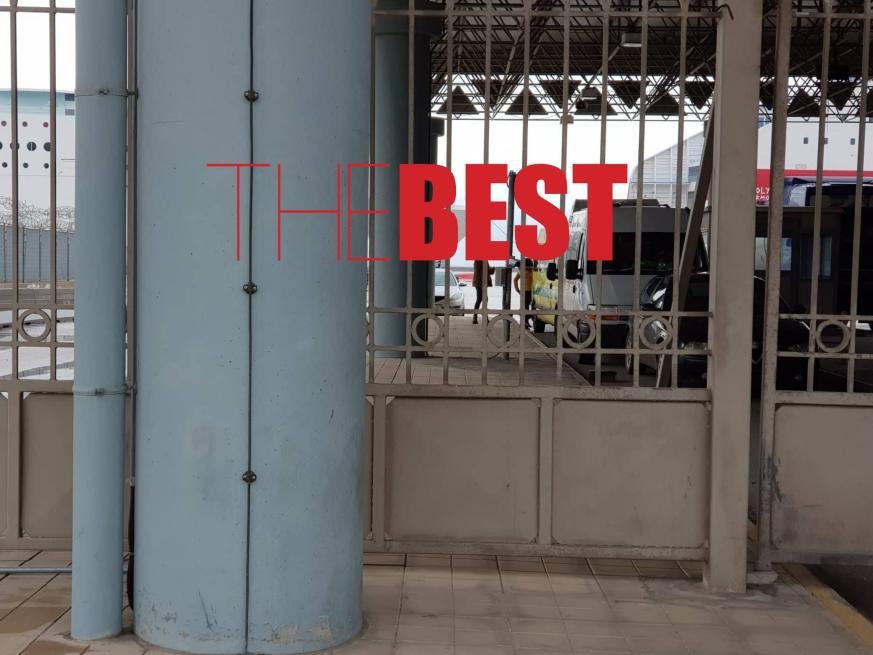 Δύο βαν με σκύλους και γάτες εντοπίστηκαν στην Πάτρα –  Θα προωθούνταν στο εξωτερικό [εικόνες] | iefimerida.gr 0