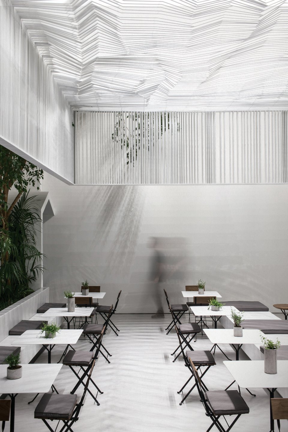 Ενας μυστικός κήπος-νησί στην Αθήνα, ανάμεσα σε θαύματα της αρχαιότητας [εικόνες] | iefimerida.gr 3