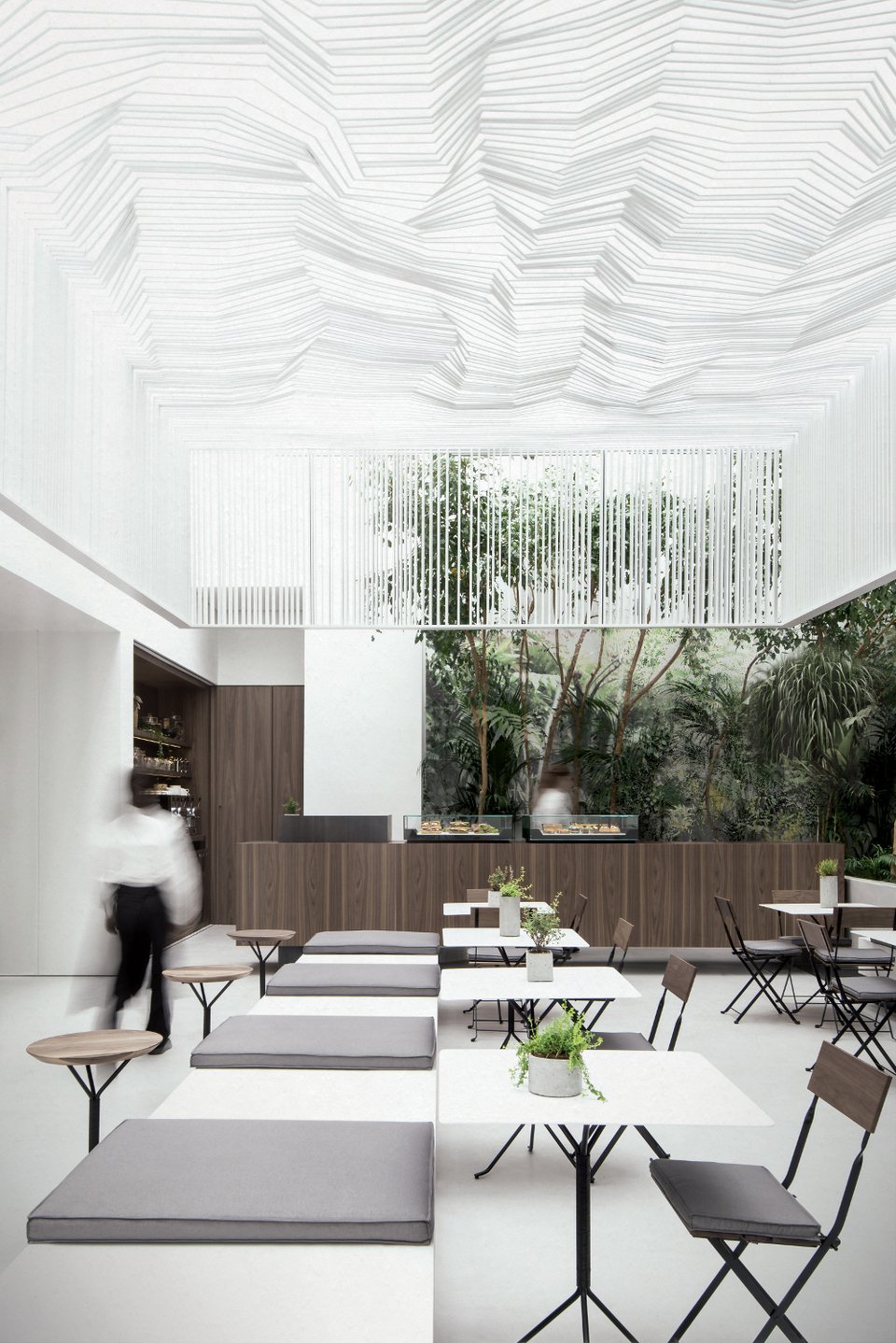 Ενας μυστικός κήπος-νησί στην Αθήνα, ανάμεσα σε θαύματα της αρχαιότητας [εικόνες] | iefimerida.gr 0