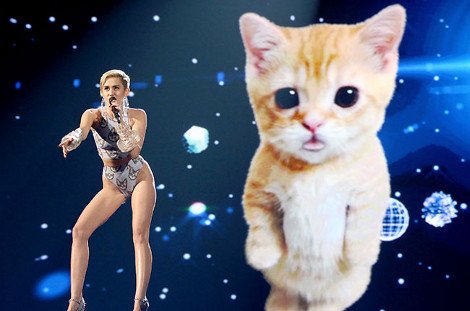 Η Μάιλι Σάιρους μας δείχνει το γατάκι της [εικόνα & βίντεο] | iefimerida.gr 0