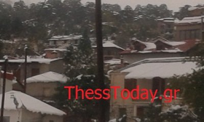 Ντύθηκαν στα άσπρα τα Γρεβενά: Χιόνι σκέπασε την περιοχή [εικόνες] | iefimerida.gr 2