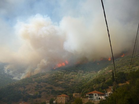 Συνεχίζει το καταστροφικό της έργο η φωτιά στη Μεσσηνία [βίντεο & εικόνες] | iefimerida.gr 3