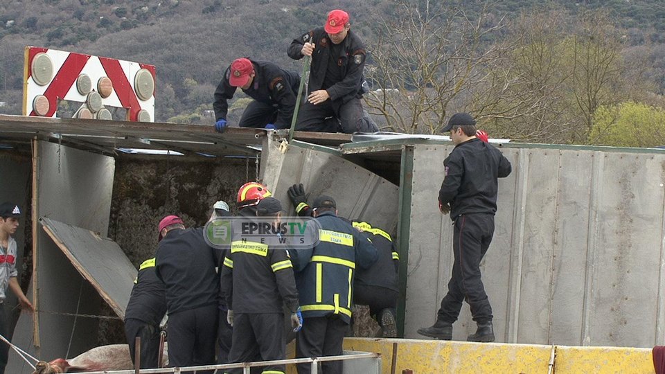  Ανετράπη νταλίκα φορτωμένη με άλογα -Εκλεισε η Εγνατία και στα δυο ρεύματα [εικόνες] | iefimerida.gr 1