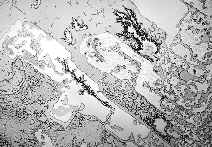 Τα δάκρυα στο μικροσκόπιο: Δεν φαντάζεστε πώς είναι το υγρό που τρέχει από τα μάτια μας [εικόνες] | iefimerida.gr 3
