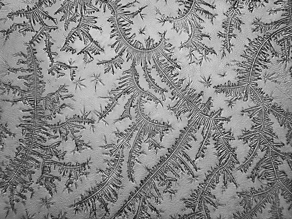 Ετσι είναι τα δάκρυα από το μικροσκόπιο -Φωτογράφος μετατρέπει τον πόνο σε τέχνη [εικόνες] | iefimerida.gr 3