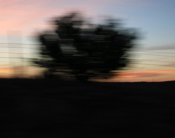 Η έκθεση της Δανάης Στράτου στο Salon de Bricolage [εικόνες] | iefimerida.gr 1