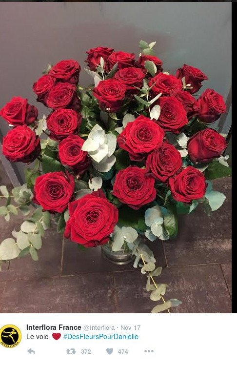 Ντανιέλ, η γιαγιά που μίλησε τη φωνή της λογικής στο Παρίσι [εικόνες] | iefimerida.gr 1