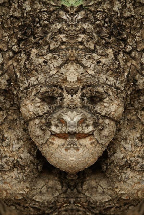 Eνα σκοτεινό άλμπουμ: Οταν τα δέντρα θυμίζουν τρομακτικό ανθρώπινο πρόσωπο [εικόνες] | iefimerida.gr 2