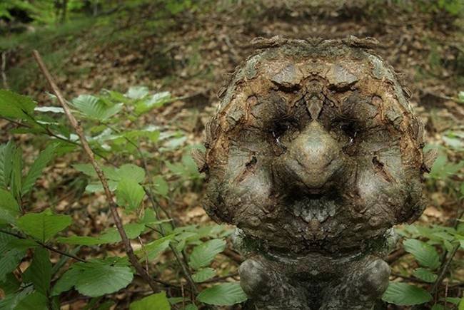 Eνα σκοτεινό άλμπουμ: Οταν τα δέντρα θυμίζουν τρομακτικό ανθρώπινο πρόσωπο [εικόνες] | iefimerida.gr 3