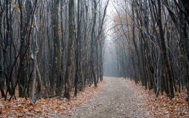 Αυτά είναι τα 10 πιο ανατριχιαστικά μέρη του κόσμου -Καλό είναι να μην πάτε [εικόνες] | iefimerida.gr 9