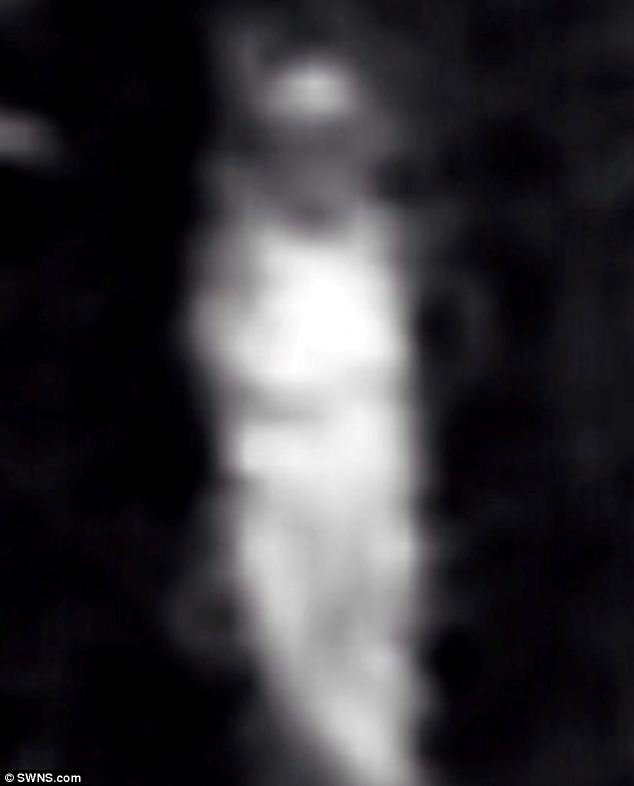 Πραγματικό Blair Witch Project; Δύο γυναίκες ακούν μία τρομακτική παιδική φωνή σε δάσος και βλέπουν ένα φάντασμα [εικόνες] | iefimerida.gr 3