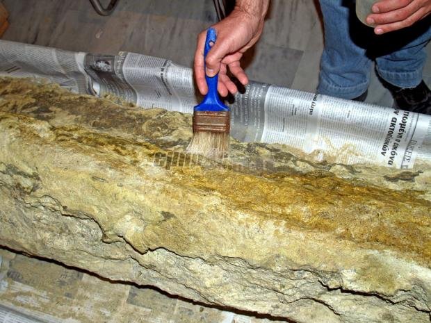 Ενα απολιθωμένο δάσος στο Ίδρυμα Ευγενίδου-Απίθανα ανασκαφικά εκθέματα! [εικόνες] | iefimerida.gr 4