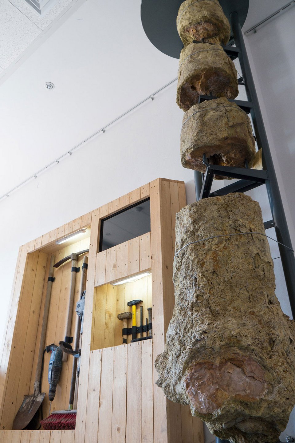 Ενα απολιθωμένο δάσος στο Ίδρυμα Ευγενίδου-Απίθανα ανασκαφικά εκθέματα! [εικόνες] | iefimerida.gr 3