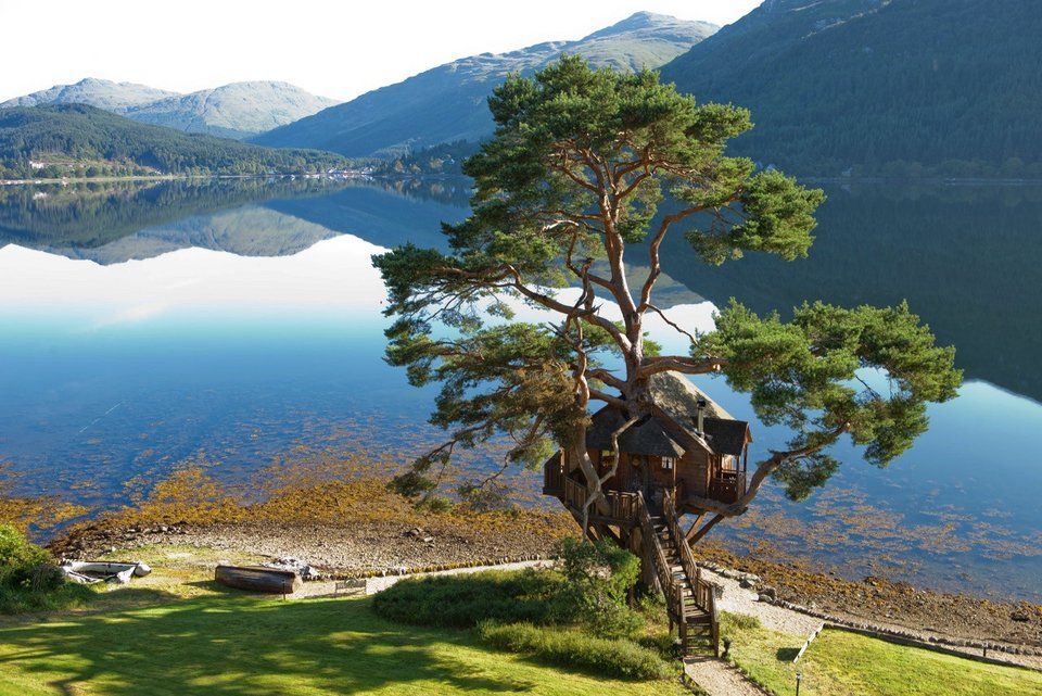 Δεντρόσπιτο πέντε αστέρων: Εντυπωσιάστε την με ένα ρομαντικό δείπνο με θέα τη λίμνη Goil [εικόνες]  | iefimerida.gr 5