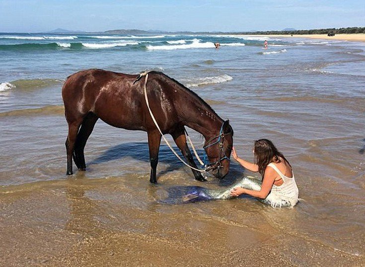 Παράτησε τη δουλειά της και έγινε... γοργόνα -Η ιστορία μιας γυναίκας που τόλμησε να ζήσει το όνειρό της [εικόνα]  | iefimerida.gr 2