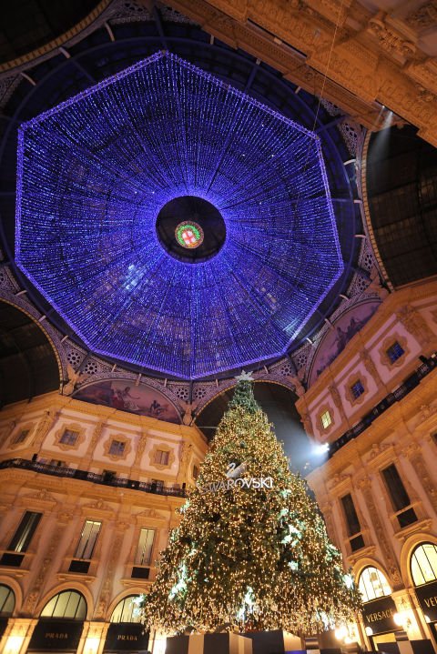 Αυτά είναι τα πιο εντυπωσιακά δέντρα που στολίστηκαν σε όλο τον πλανήτη [εικόνες] | iefimerida.gr 8