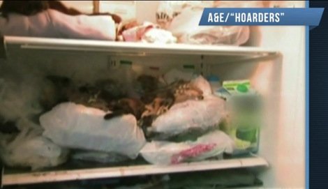 Σοκ: Αμερικανίδα ζούσε με 100 νεκρές γάτες στον... καταψύκτη της [εικόνες] | iefimerida.gr 1