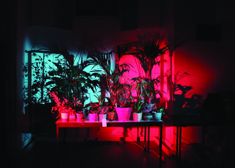 Post-punk ταινίες από το Δυτικό Βερολίνο στα Πετράλωνα [εικόνες] | iefimerida.gr 0