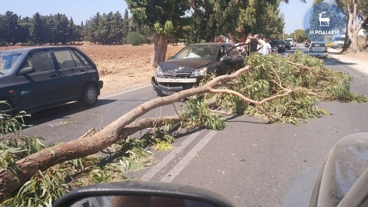 Τεράστιο κλαδί «προσγειώθηκε» σε ΙΧ Ροδίτισσας -Από θαύμα γλίτωσε η οδηγός [εικόνα] | iefimerida.gr 0