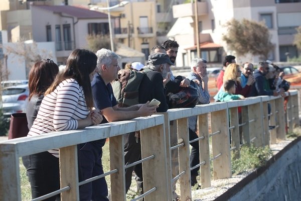 Κρήτη: Μια όμορφη επίσκεψη -Δελφίνι σε απόσταση αναπνοής από το λιμάνι [εικόνες] | iefimerida.gr 6