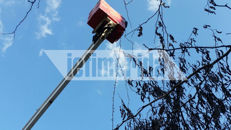 Μεταλλικό το δέντρο στο Σύνταγμα φέτος -Αρχισε ο στολισμός [εικόνες] | iefimerida.gr 3