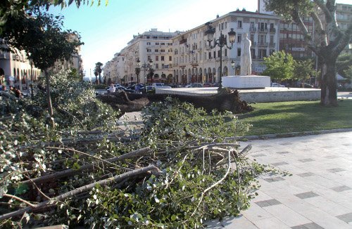 Απίστευτο: Επεσε δένδρο στην Αριστοτέλους, λόγω αέρα [εικόνες & βίντεο] | iefimerida.gr 2