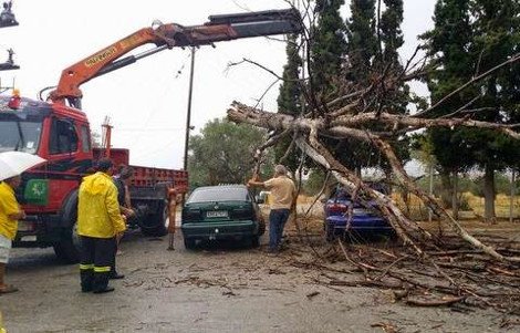 Καταστροφές από την πρόσφατη κακοκαιρία στην Ερέτρια -Ξεριζώθηκε δέντρο από τους ισχυρούς ανέμους [εικόνες] | iefimerida.gr 1