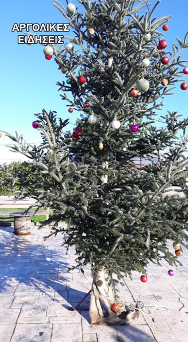 Αργολίδα: Εκλεψαν τον στολισμό από το χριστουγεννιάτικο δέντρο χωριού [εικόνες]  | iefimerida.gr 2