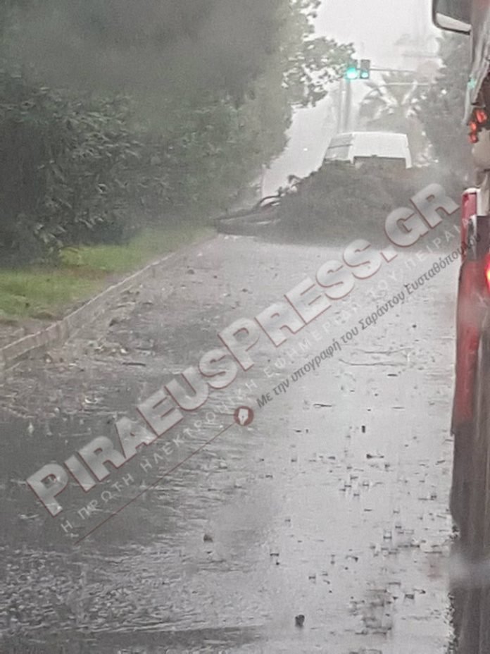 Ξεριζώθηκε μεγάλο δέντρο από την κακοκαιρία στον Πειραιά [εικόνες] | iefimerida.gr 0