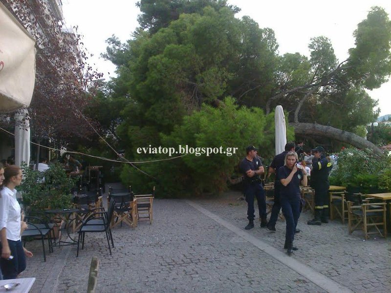 Εύβοια: Επεσε δέντρο στα τραπέζια καφετέριας -Από τύχη δεν υπήρξαν θύματα [εικόνες] | iefimerida.gr 1